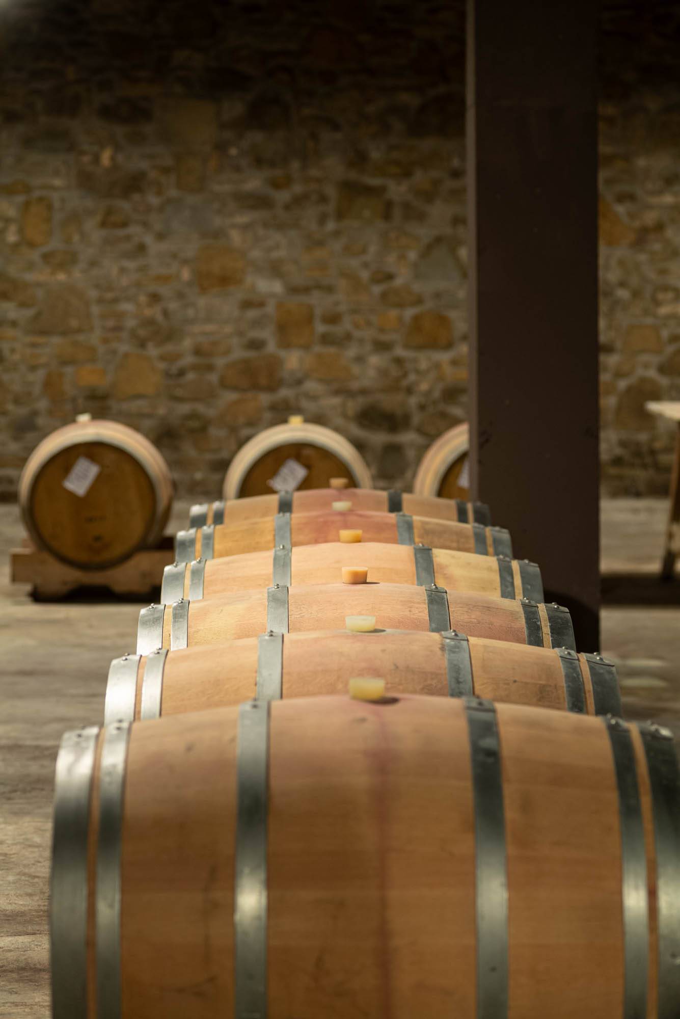Sauvignon vertical tasting