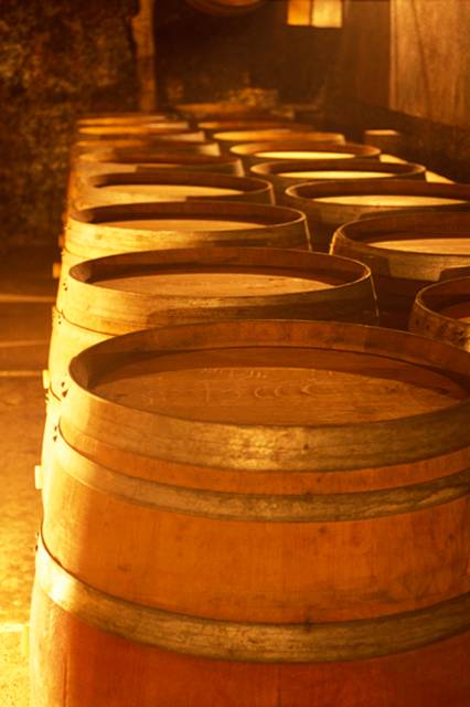 Visita Descoberta - Domaine Marcel Richaud - Winalist