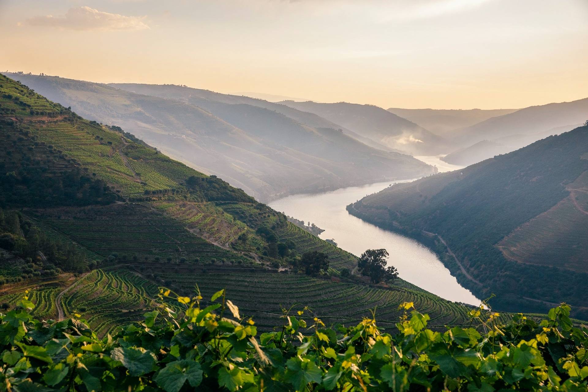 Van Zellers & Co  - Winalist