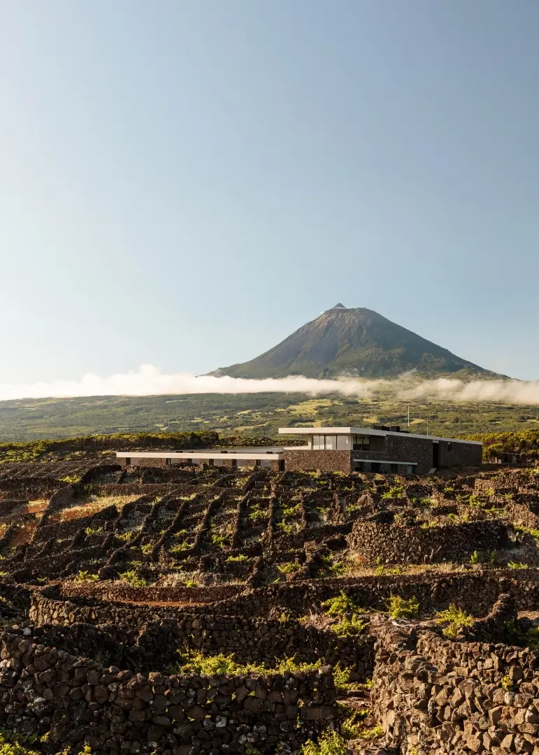 Azores Wine Company - Winalist