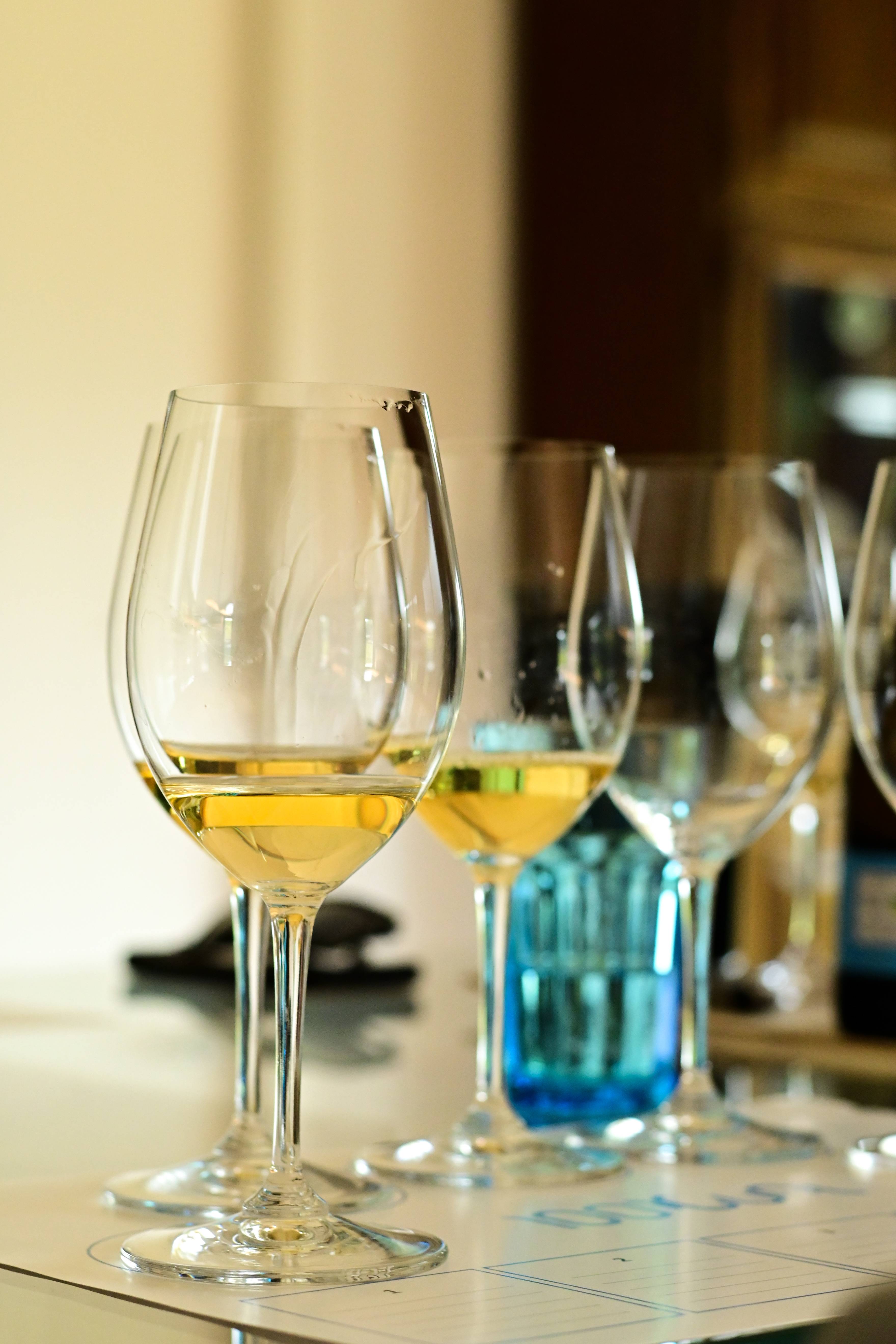 Sem Igual Vinho Verde: visit and tasting - 100Igual Wines  - Winalist