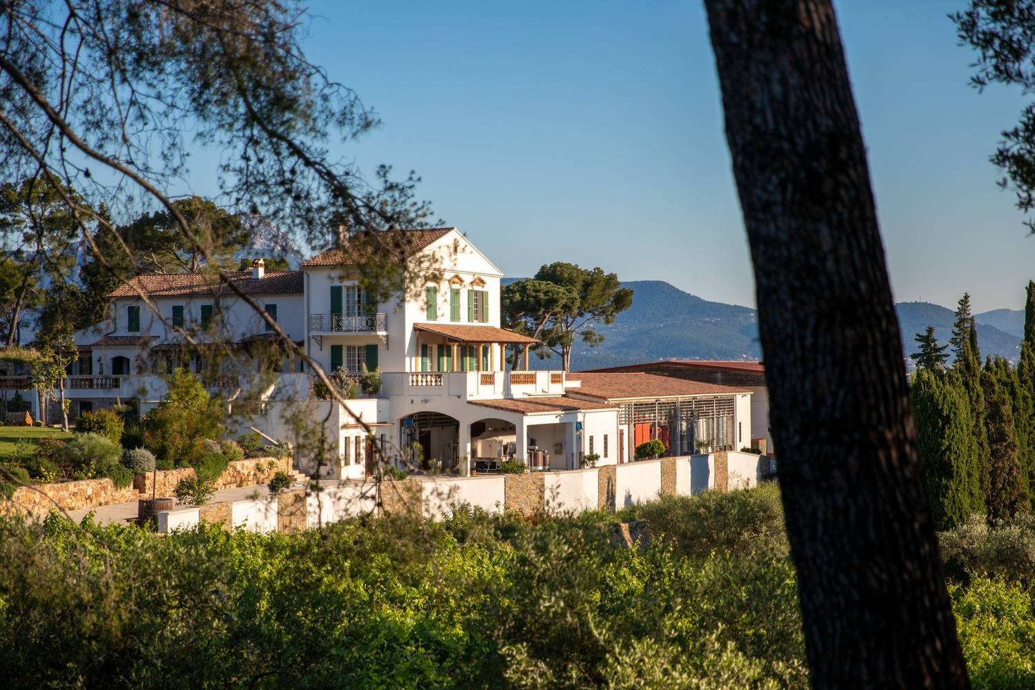 Top 10 châteaux viticoles en Provence à visiter cet été - 2026 - 18 - châteaux viticoles provence châteaux viticoles provence - Top 10 châteaux viticoles en Provence à visiter cet été - 2026 - 17