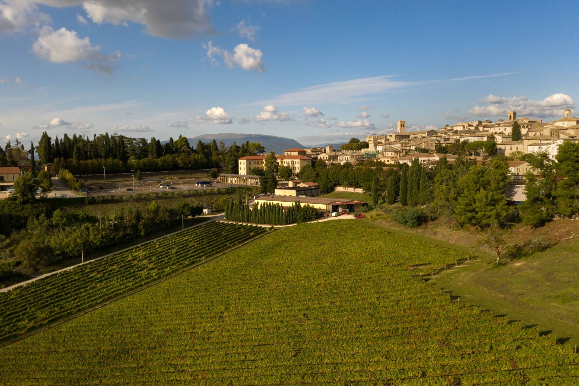 Cantina Fratelli Pardi - Winalist