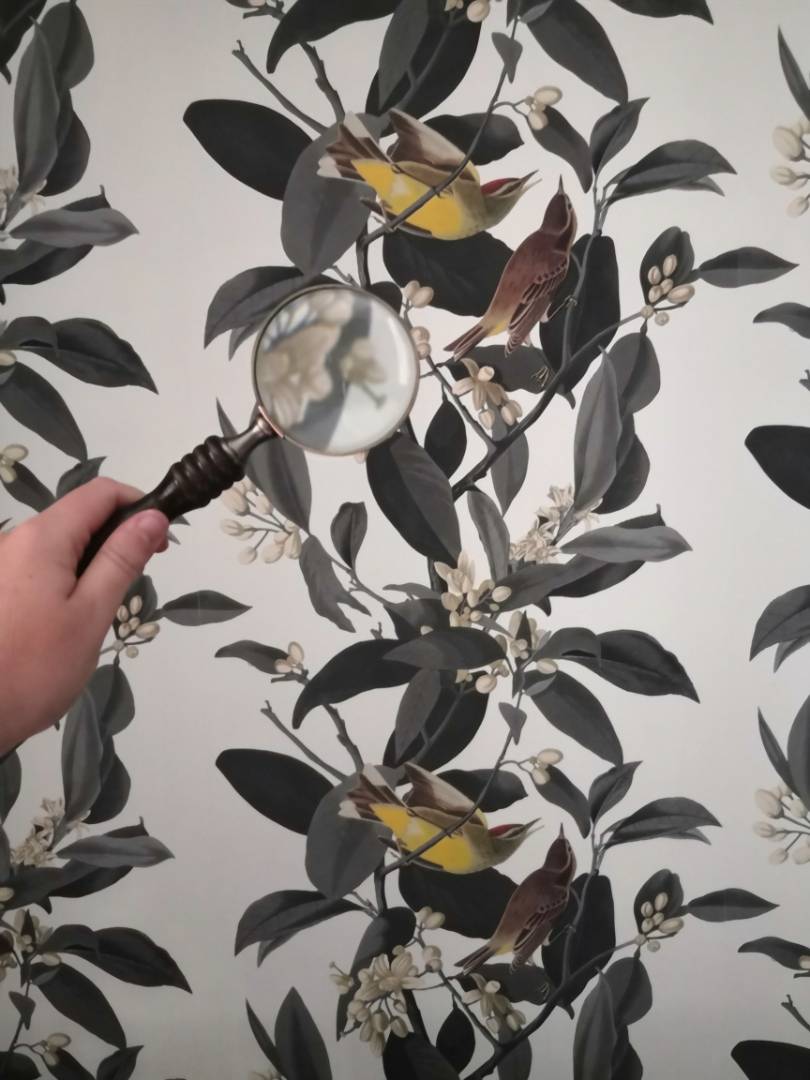 Escape game on the fly