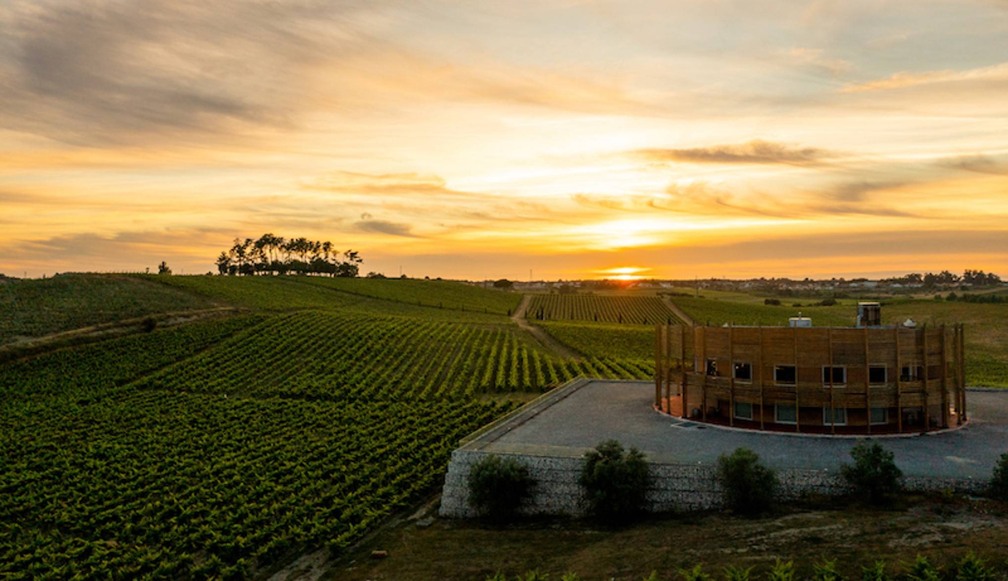 Visita e Pranzo Executive