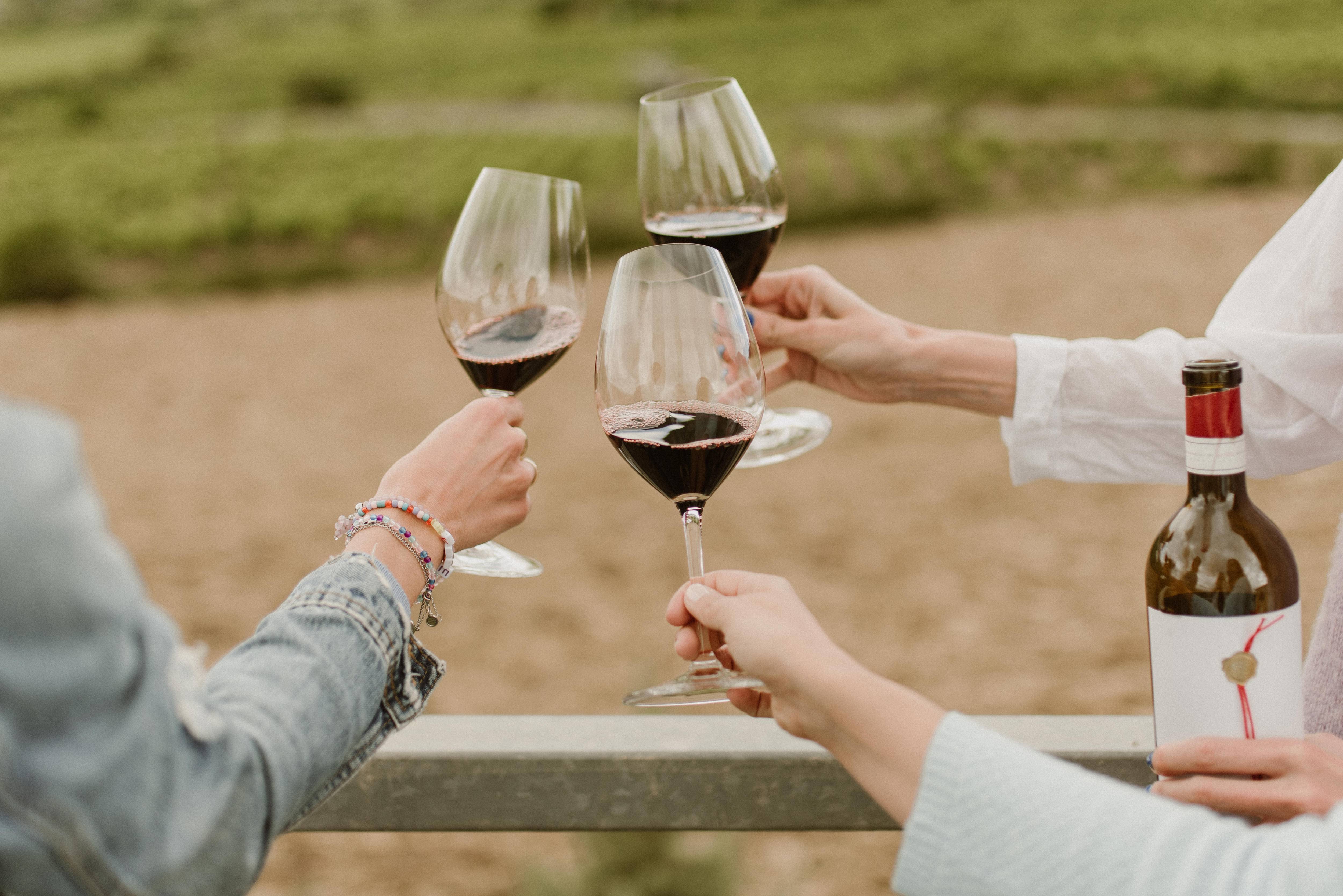 Winery visit and tasting - Bodegas Luis Alegre - Winalist