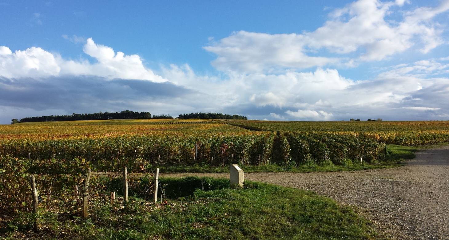 Visiter Troyes : les incontournables de la ville aux mille couleurs - 2026 - 18 - visiter troyes visiter troyes - Visiter Troyes : les incontournables de la ville aux mille couleurs - 2026 - 17