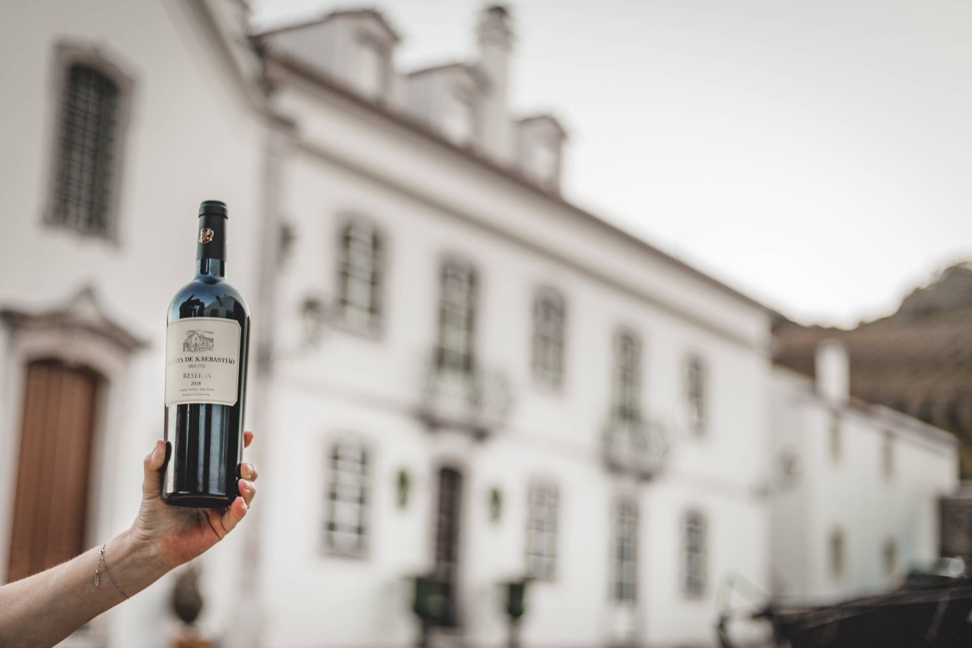 Wine Slow Pace - Platinum