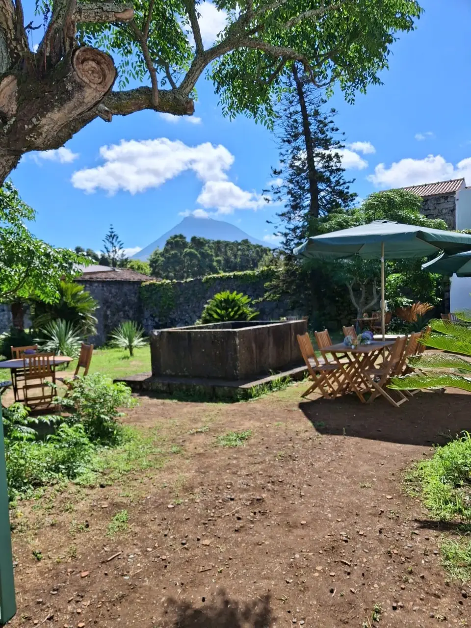 Degustazione Classica