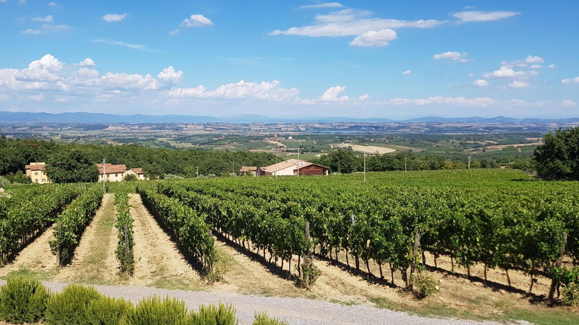 things to do in montepulciano - Your Ultimate Travel Guide: Top Things to Do in Montepulciano - 2025 - 15