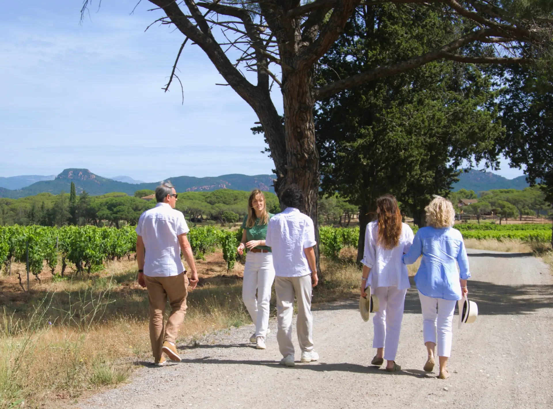 Wine Guide - Provence - Winalist