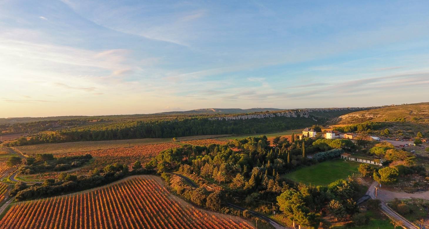 Que faire à Narbonne ? Découvrir Narbonne et les incontournables - 2026 - 18 - que faire a narbonne que faire a narbonne - Que faire à Narbonne ? Découvrir Narbonne et les incontournables - 2026 - 17