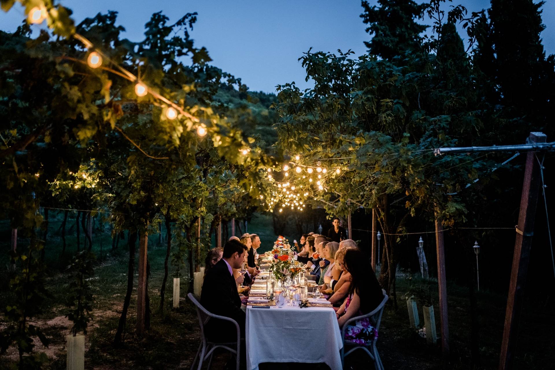 Dîner dans les Vignes avec accord mets et vins Massimago