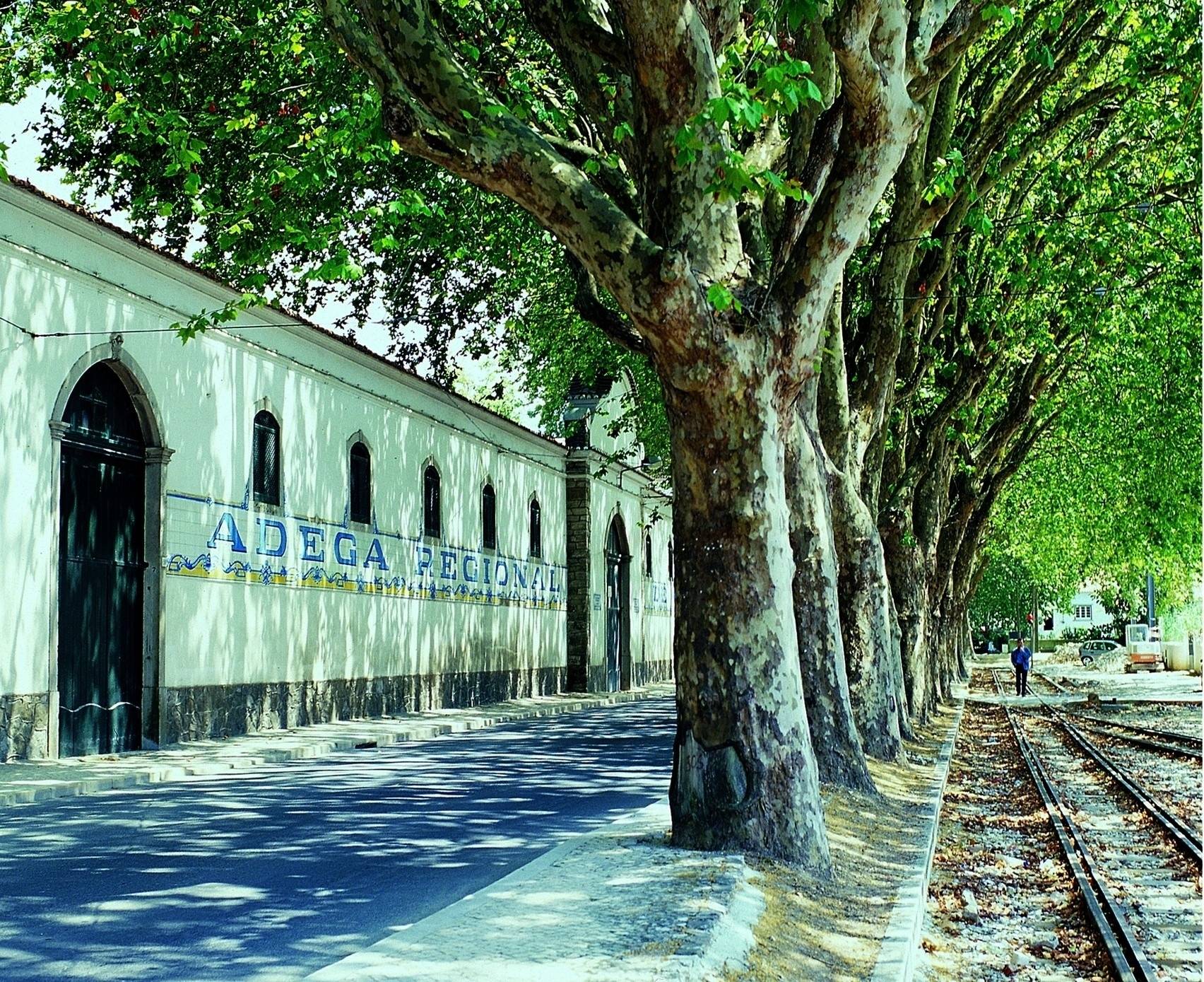 Adega Regional De Colares - Winalist