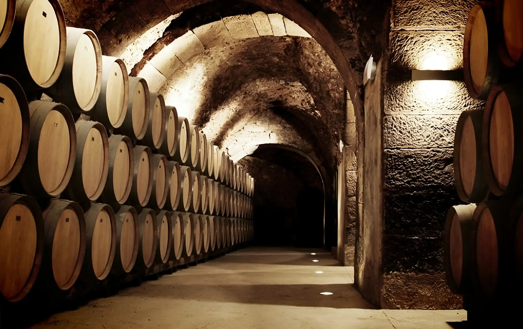 Visiter Laguardia : Caves, Dolmens et vins de la Rioja - 2026 - 8 - laguardia laguardia - Visiter Laguardia : Caves, Dolmens et vins de la Rioja - 2026 - 7