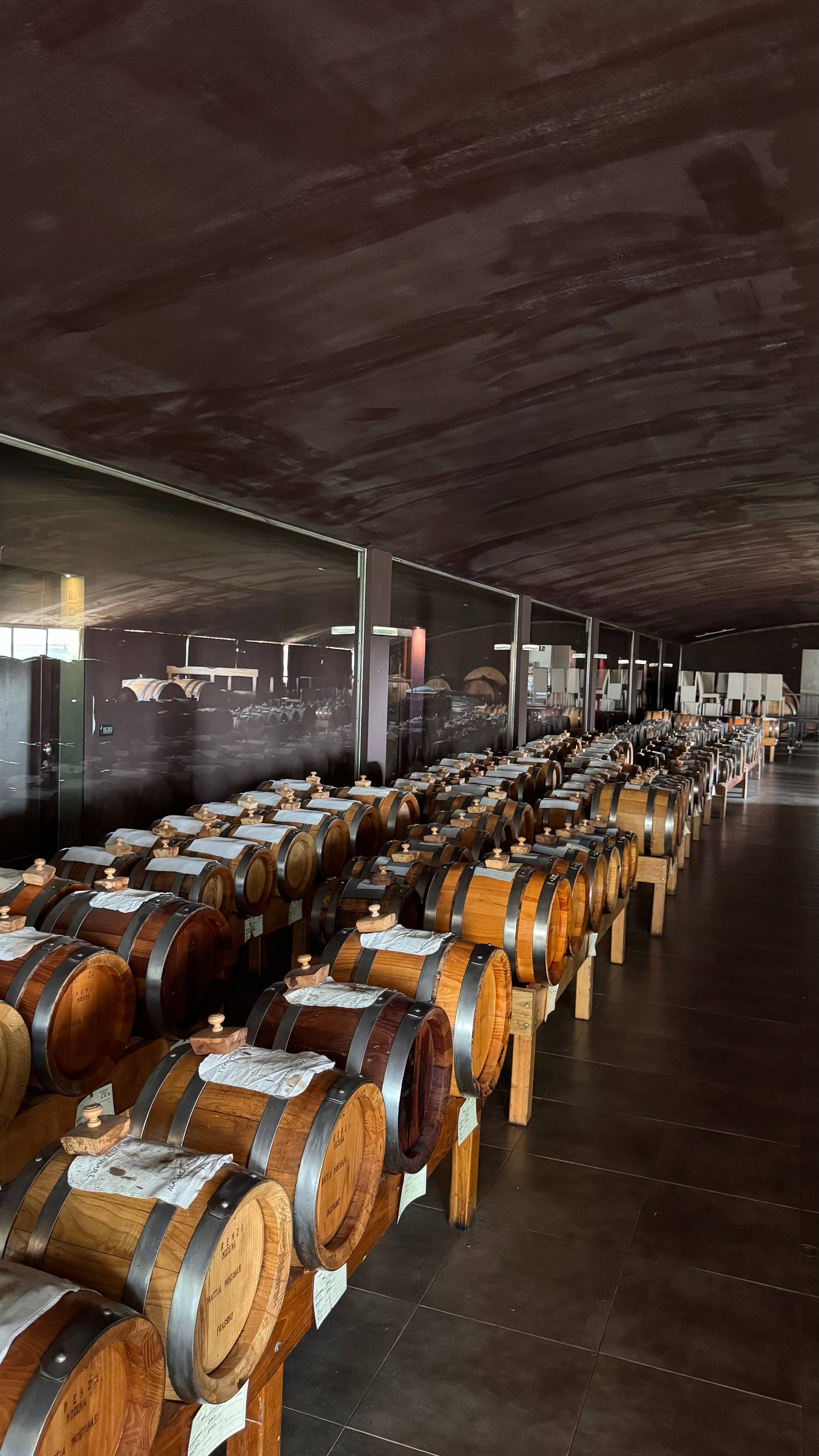 Lambrusco Experience