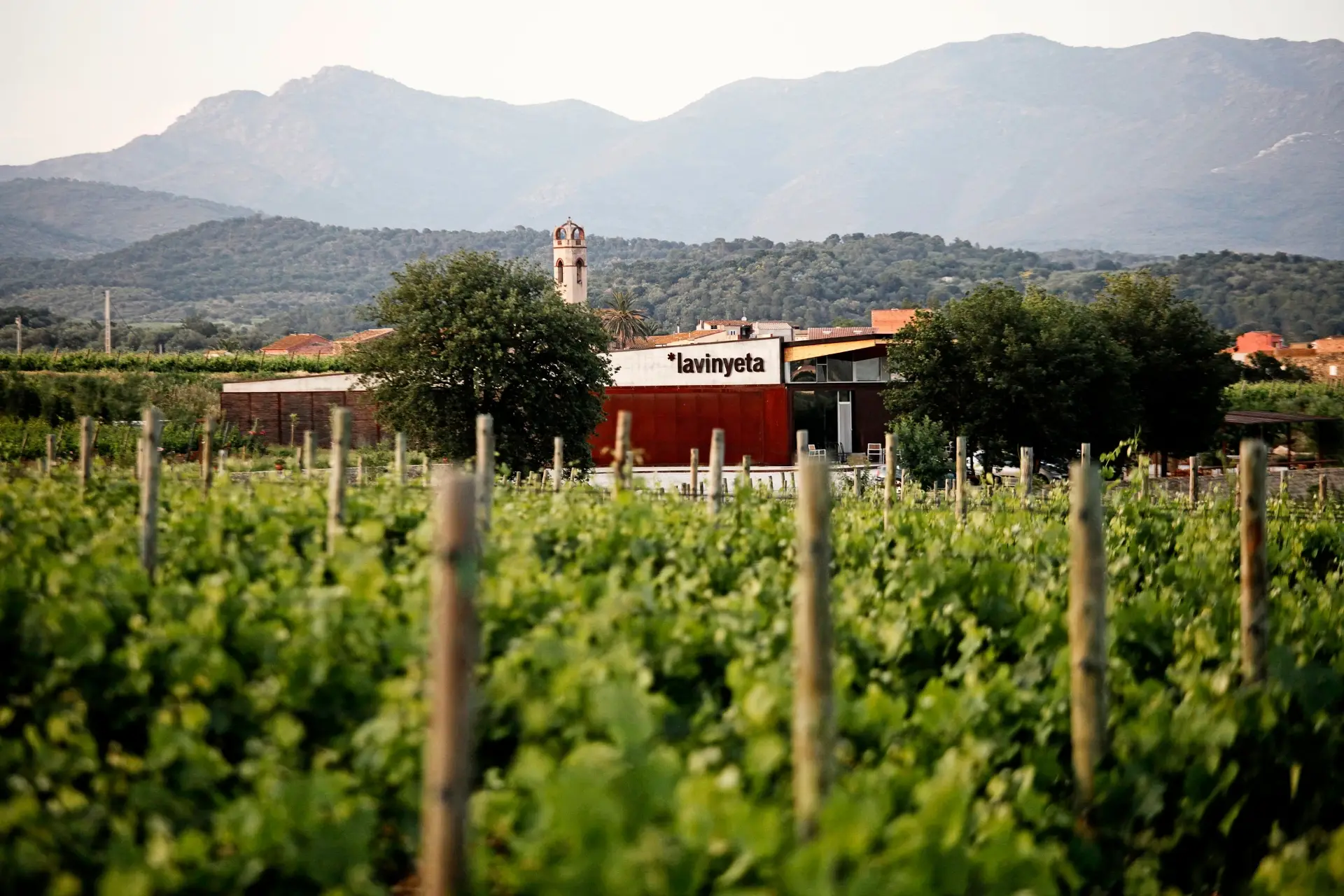 La Vinyeta - Winalist