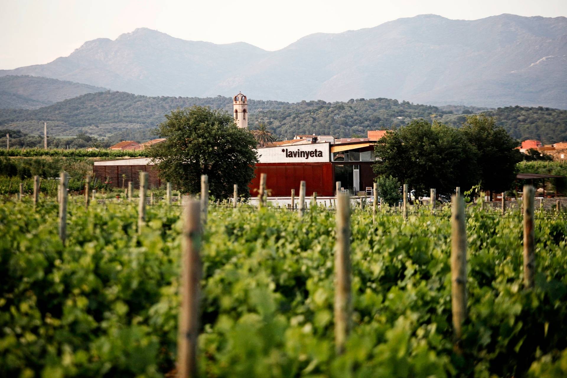 La Vinyeta Reserva Tu Visita Cata 2026 la-vinyeta-reserva-tu-visita-cata-2026