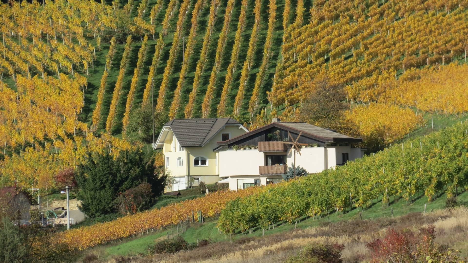 Winery Horvat - Winalist