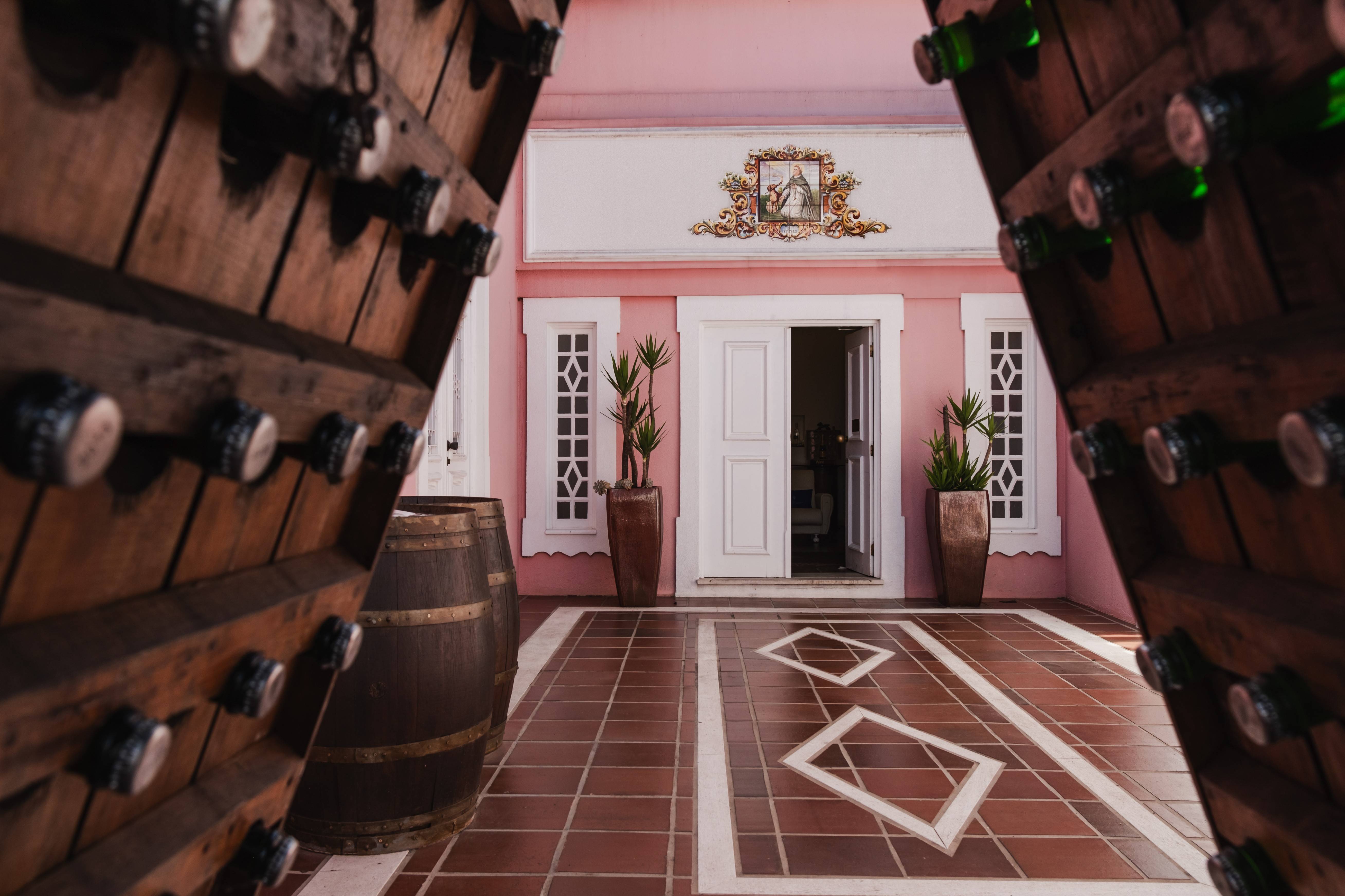 Visita e Prova Baga da Bairrada - Caves do Solar De São Domingos - Winalist
