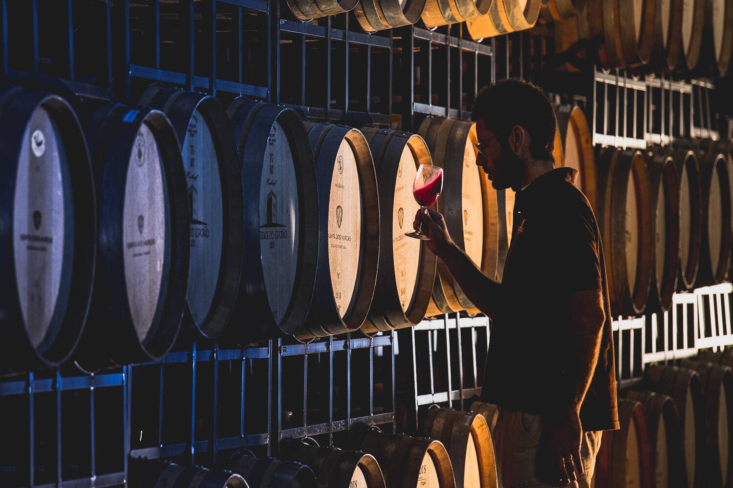 Visita guiada à adega e Prova Terroir