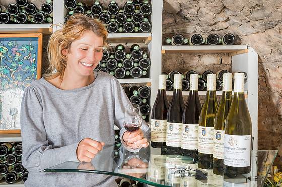 Visita e Degustação de Vinícolas