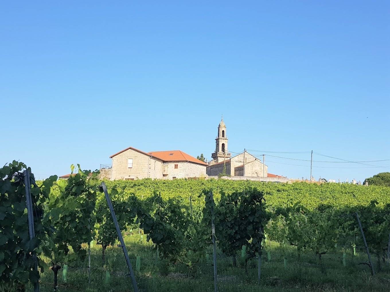 Vides Singulares. Eme Erre Viñadores - Winalist