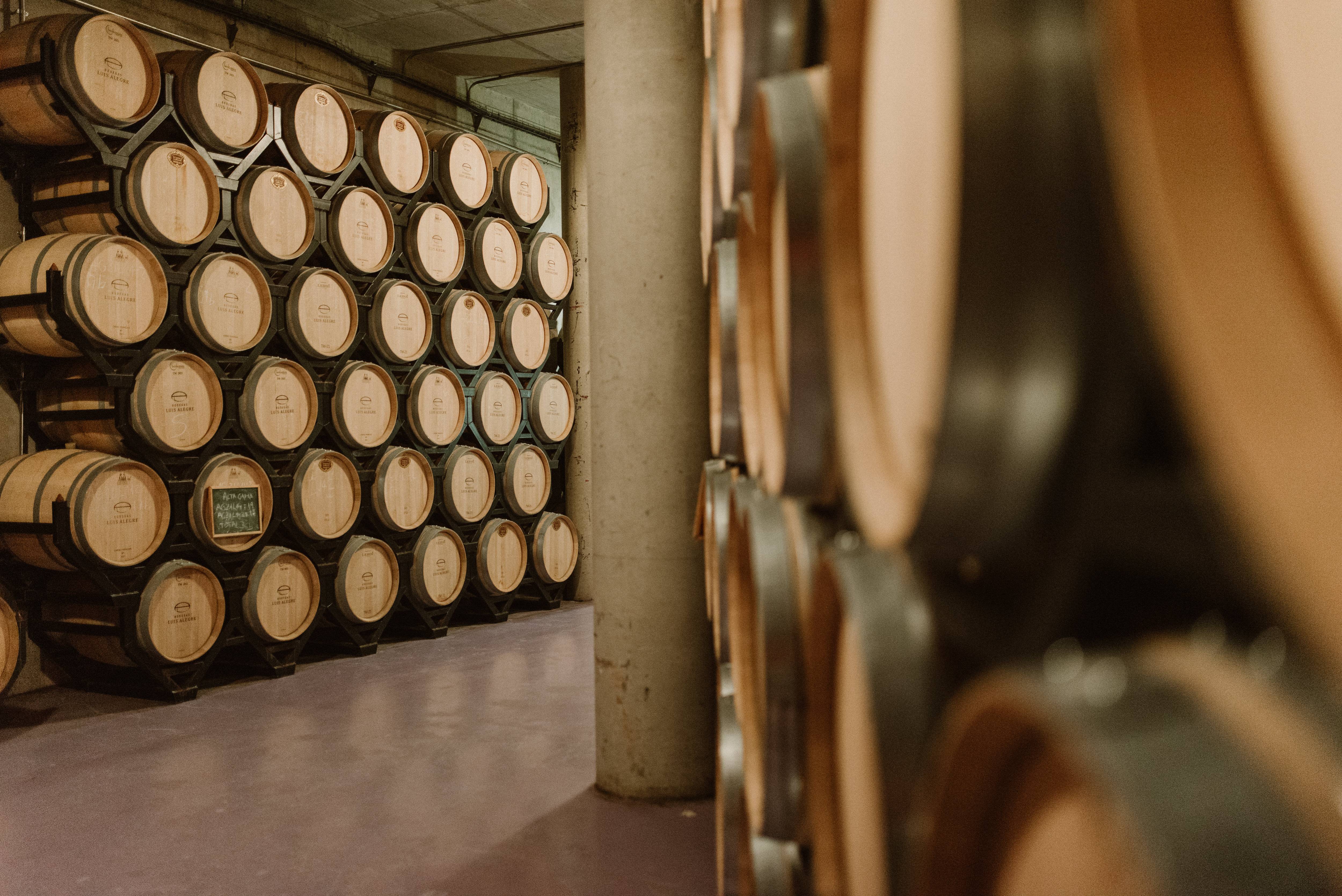 Winery visit and tasting - Bodegas Luis Alegre - Winalist