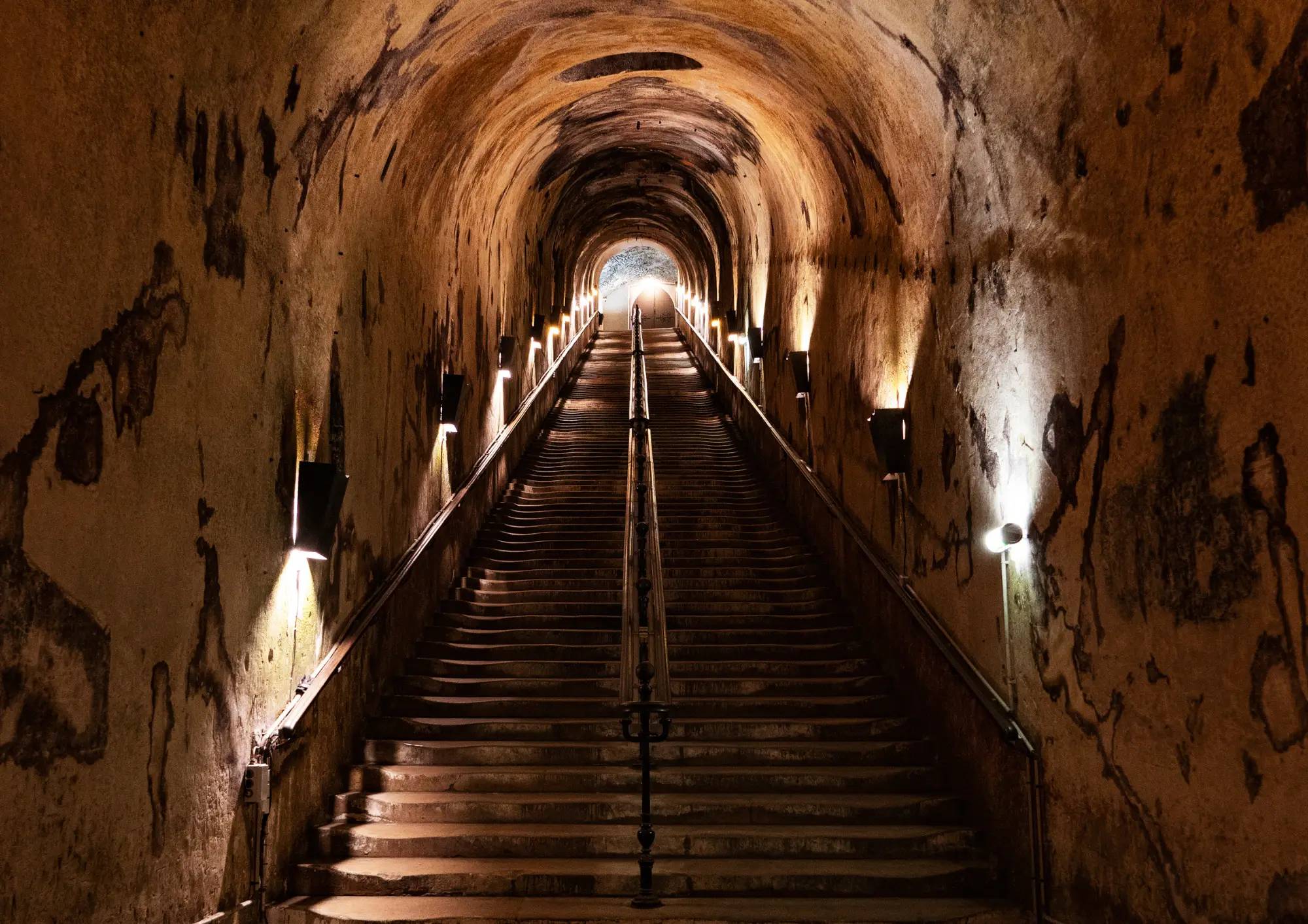 Guided Tour - The Genius of Madame Pommery