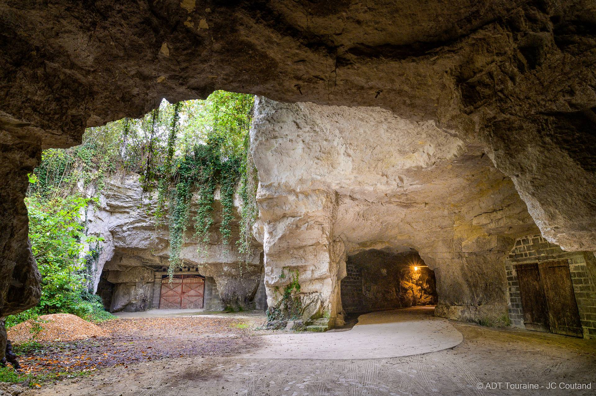 Viaggio al centro della cantina