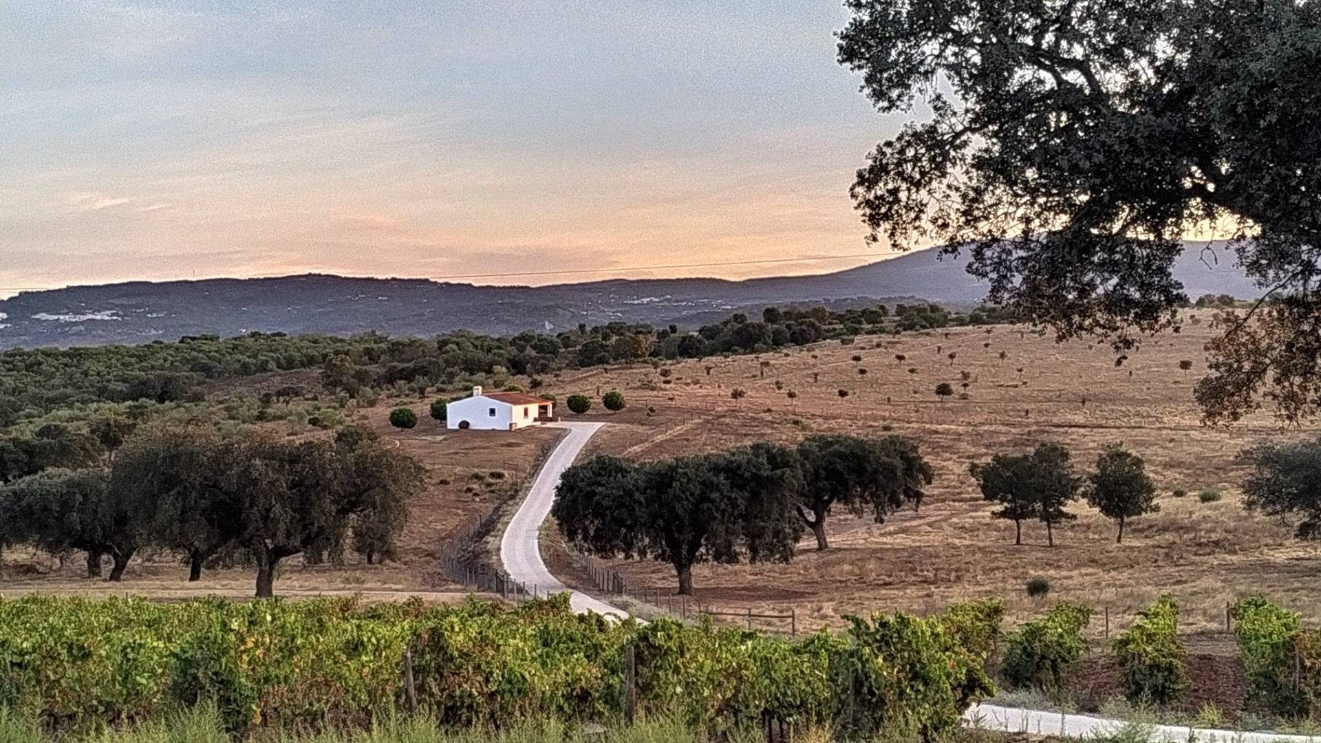 Casa Da Urra - Winalist