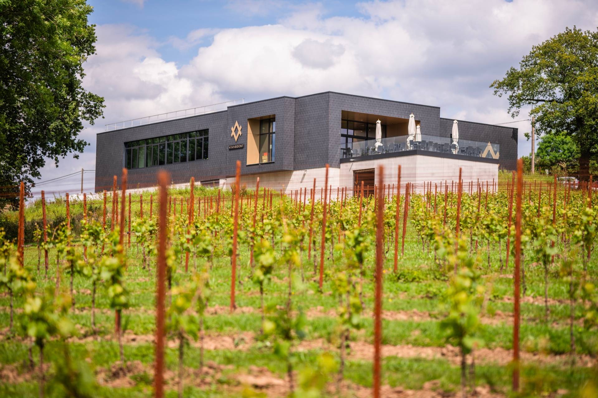 Vivardent, Winerie Ethique Belge - Winalist