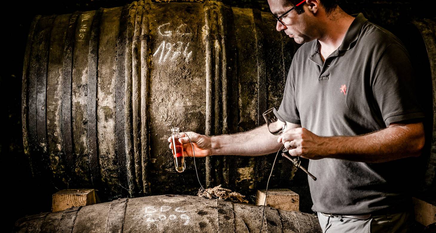 Visiter Cognac : Guide Complet des choses à faire - 2026 - 29 - Visiter Cognac Visiter Cognac - Visiter Cognac : Guide Complet des choses à faire - 2026 - 28