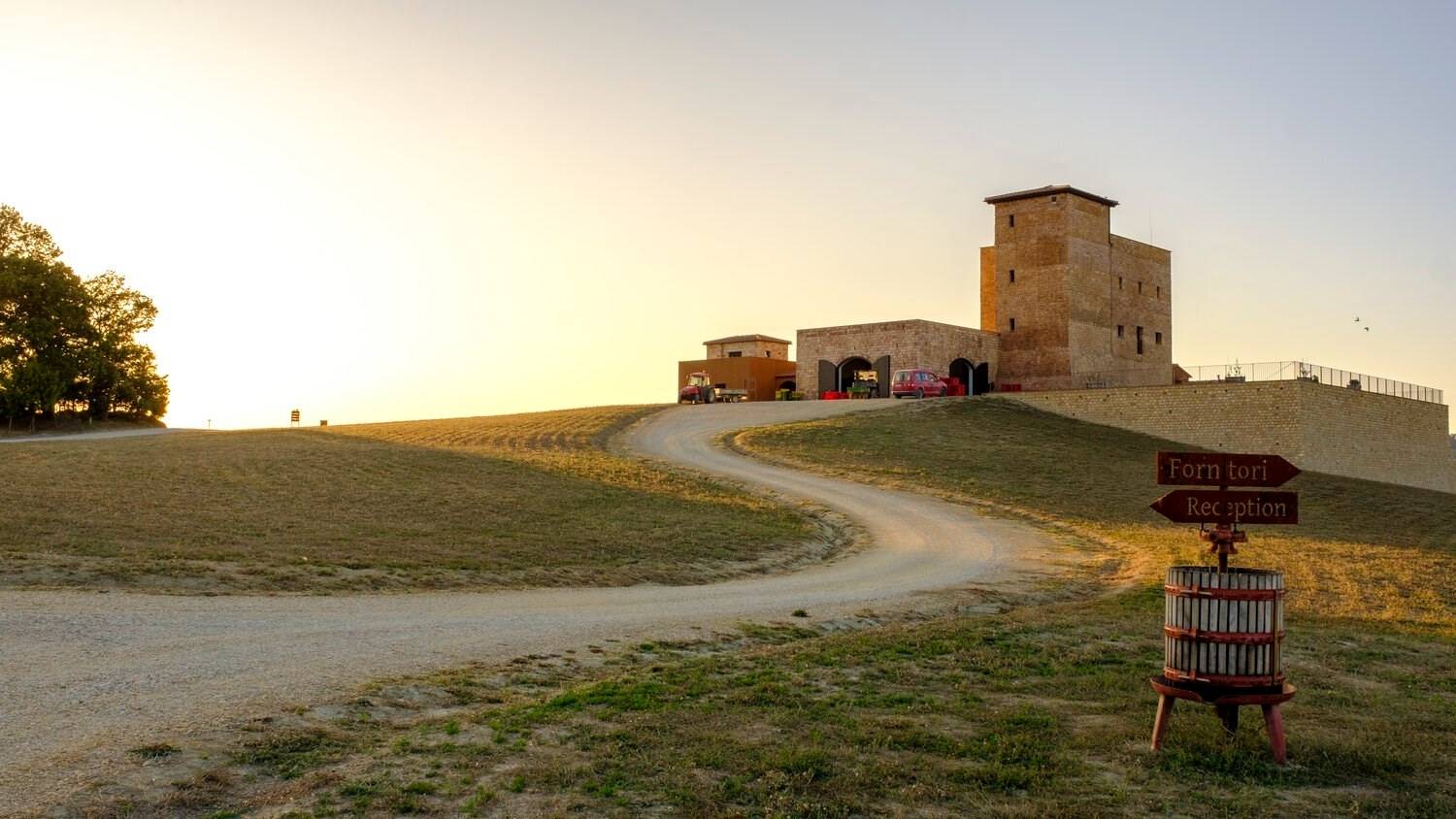 MonteRosola - Winalist