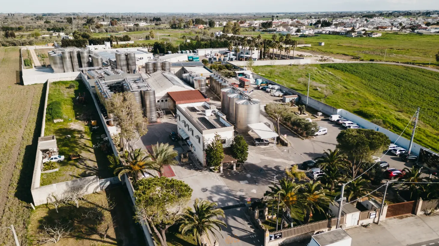 Que faire à Taranto : La ville fascinante des Deux Mers - 2025 - 20 - taranto,tarente taranto,tarente - Que faire à Taranto : La ville fascinante des Deux Mers - 2025 - 19