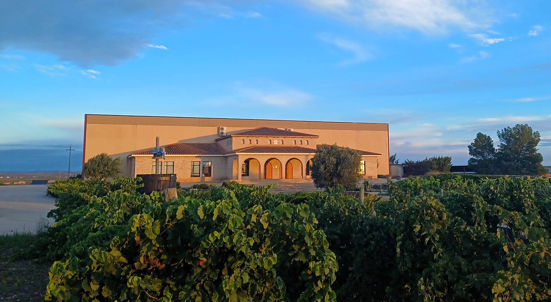 Costers del segre Wine Tours & Tastings ⭐️ Best Wineries 2026