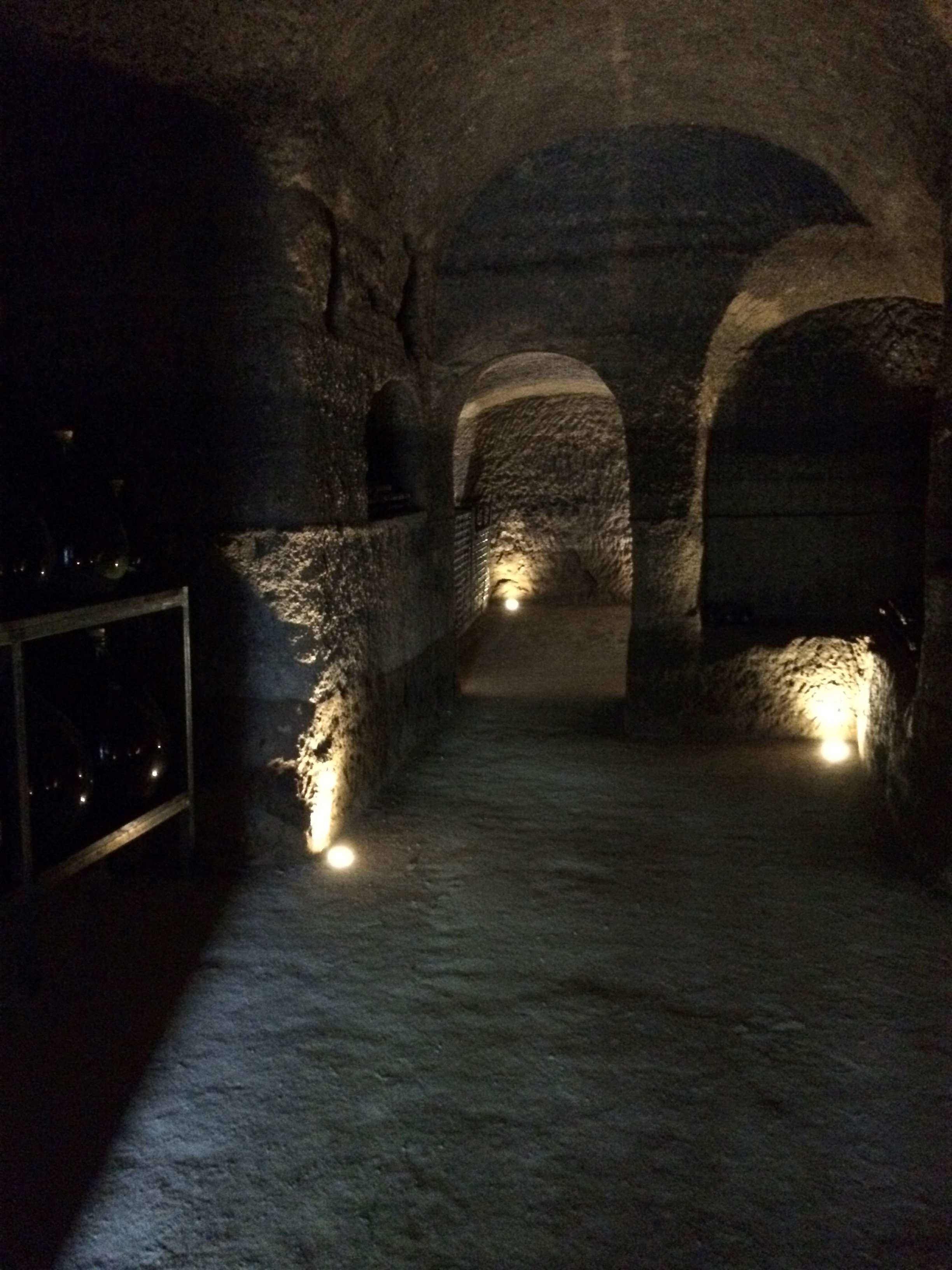 Musco: The Wine of the Etruscan Cave