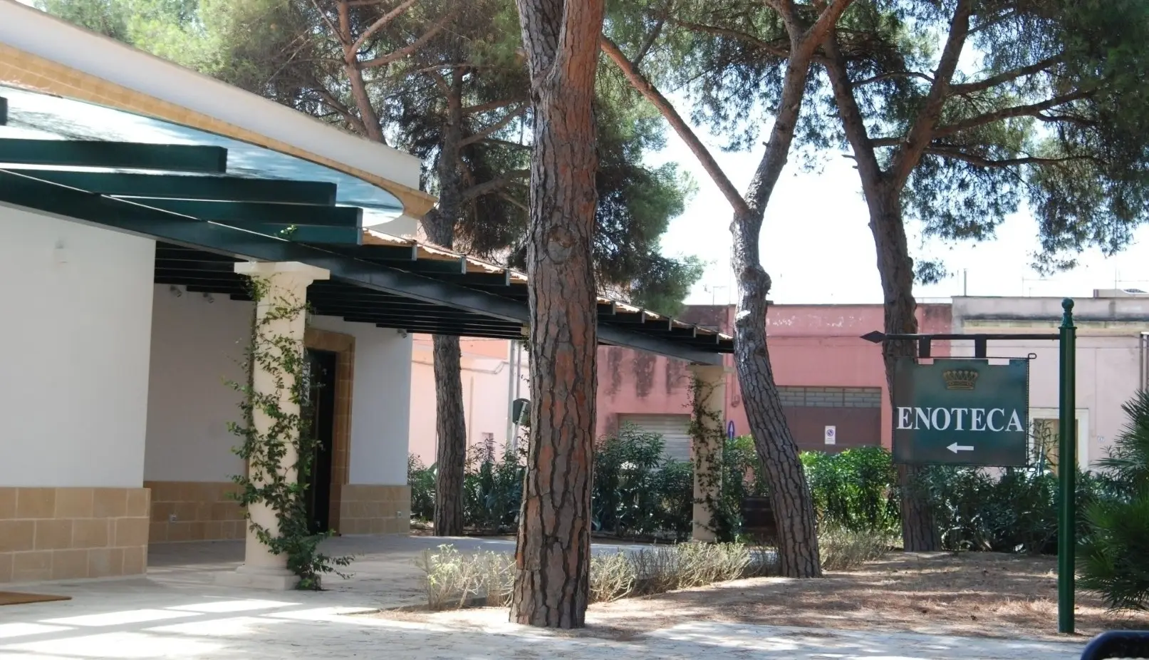 Conti Zecca - Winalist