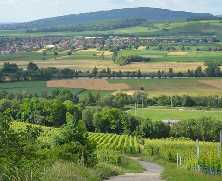 Marlenheim TOP Visites Caves & Dgustations Vin 2026 Marlenheim TOP Visites Caves & Dgustations Vin 2026
