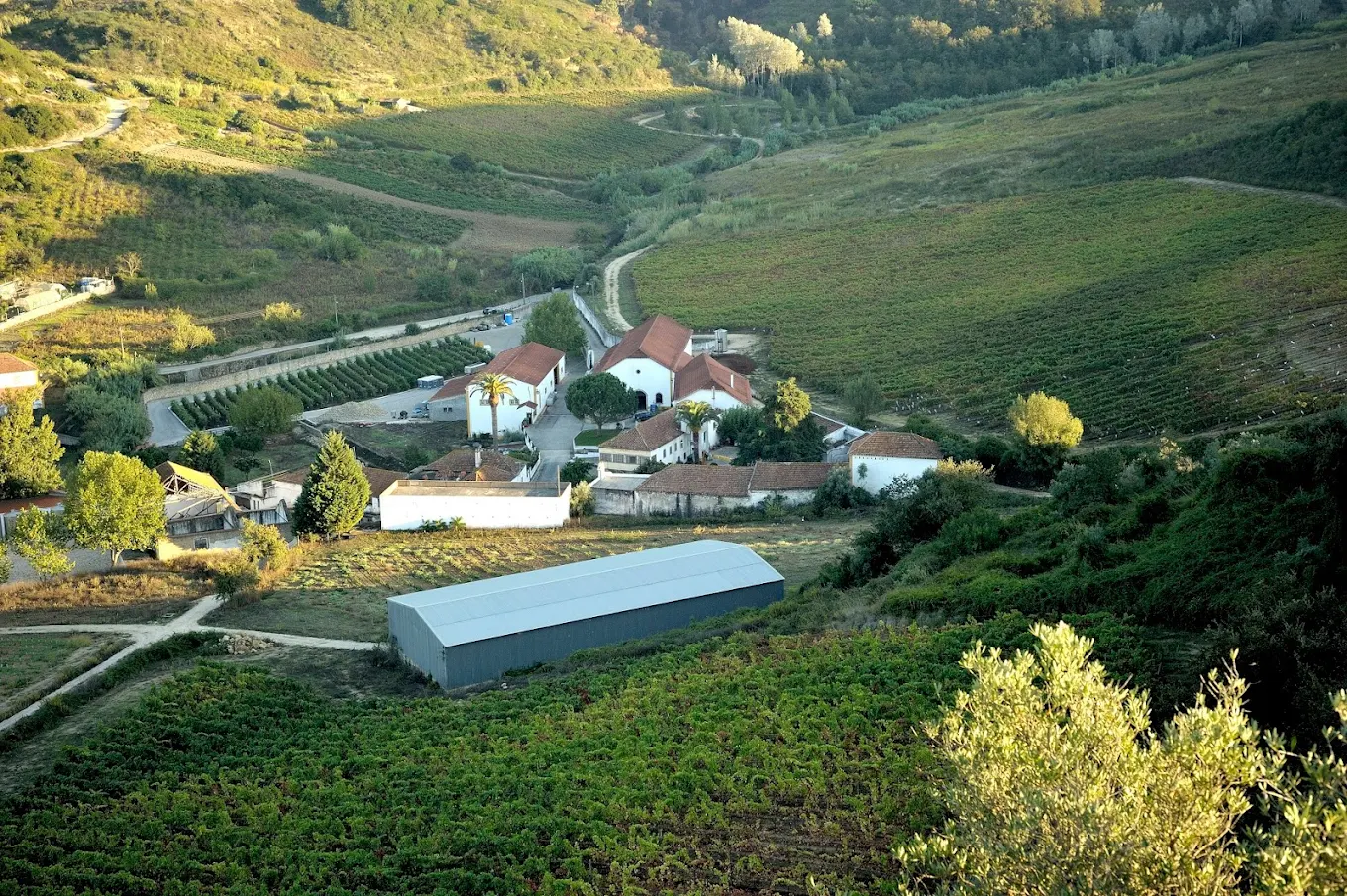 Félix Rocha - Winalist