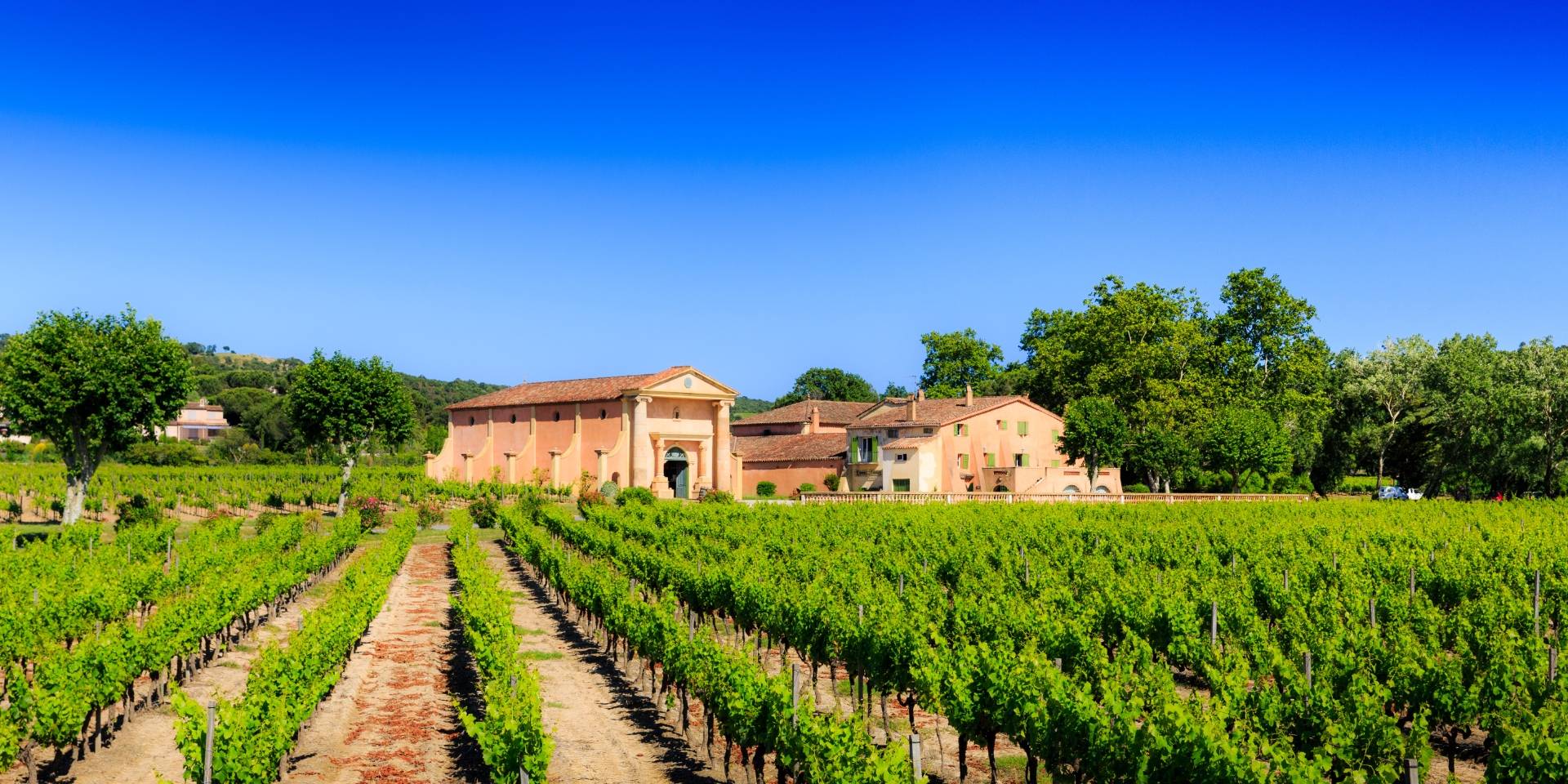 Domaine Bertaud Belieu - Winalist