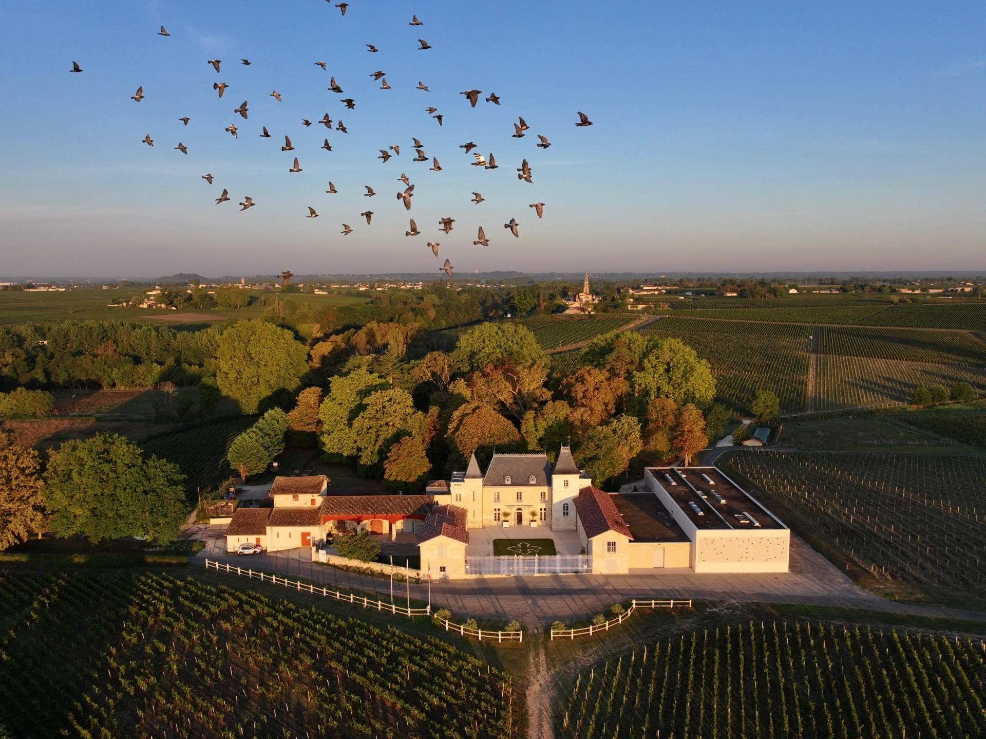 Château Moncets - Winalist