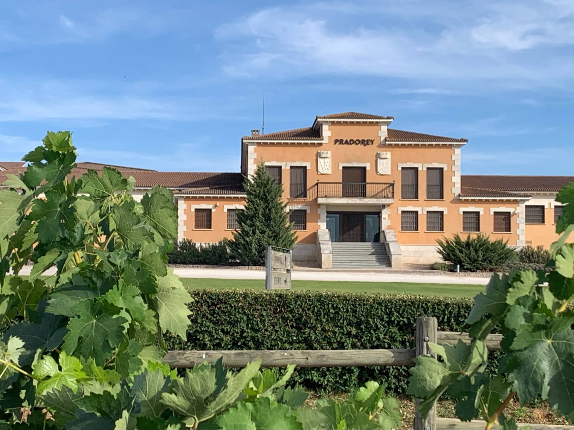 Bodegas y viñedos Pradorey - Winalist