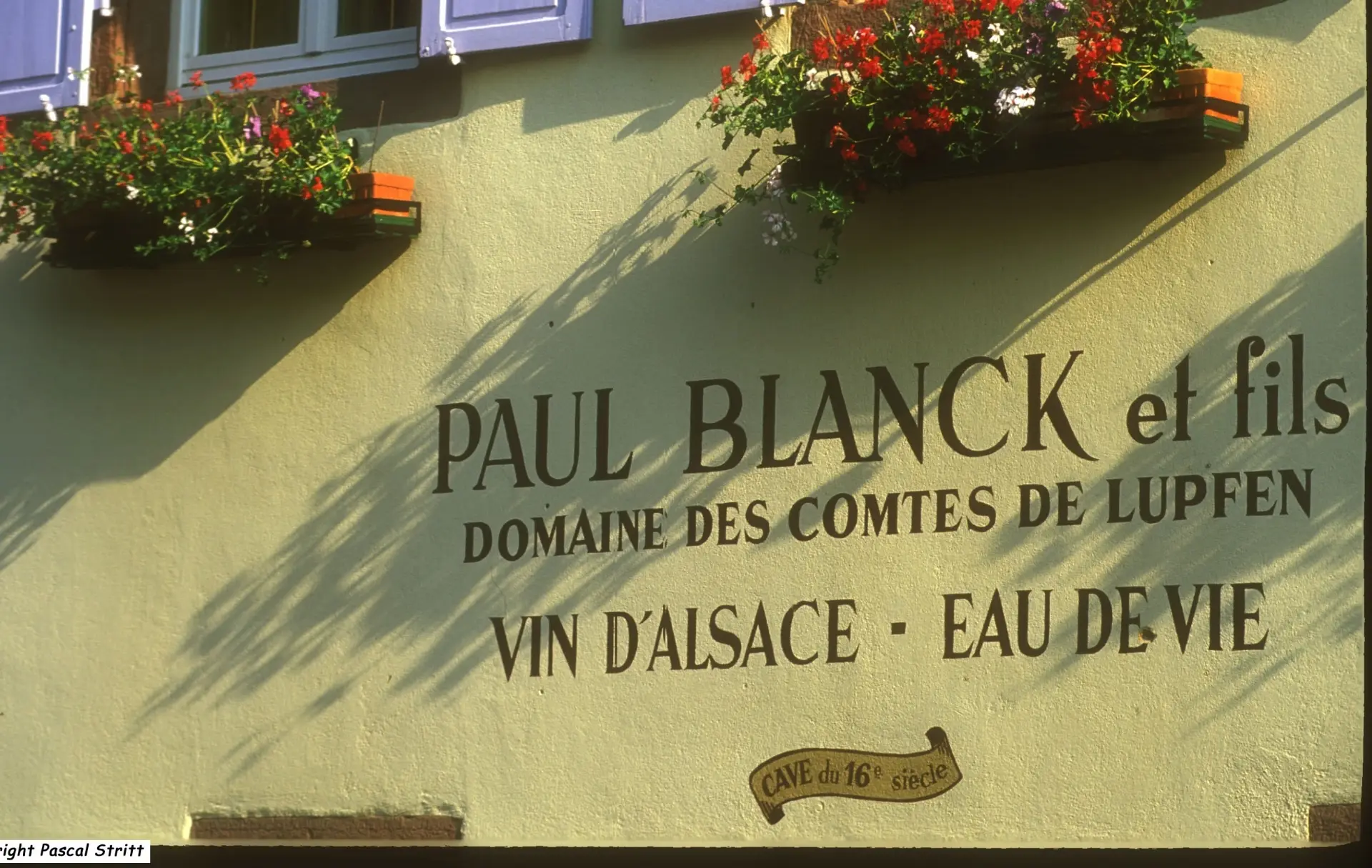 Domaine Paul Blanck  - Winalist