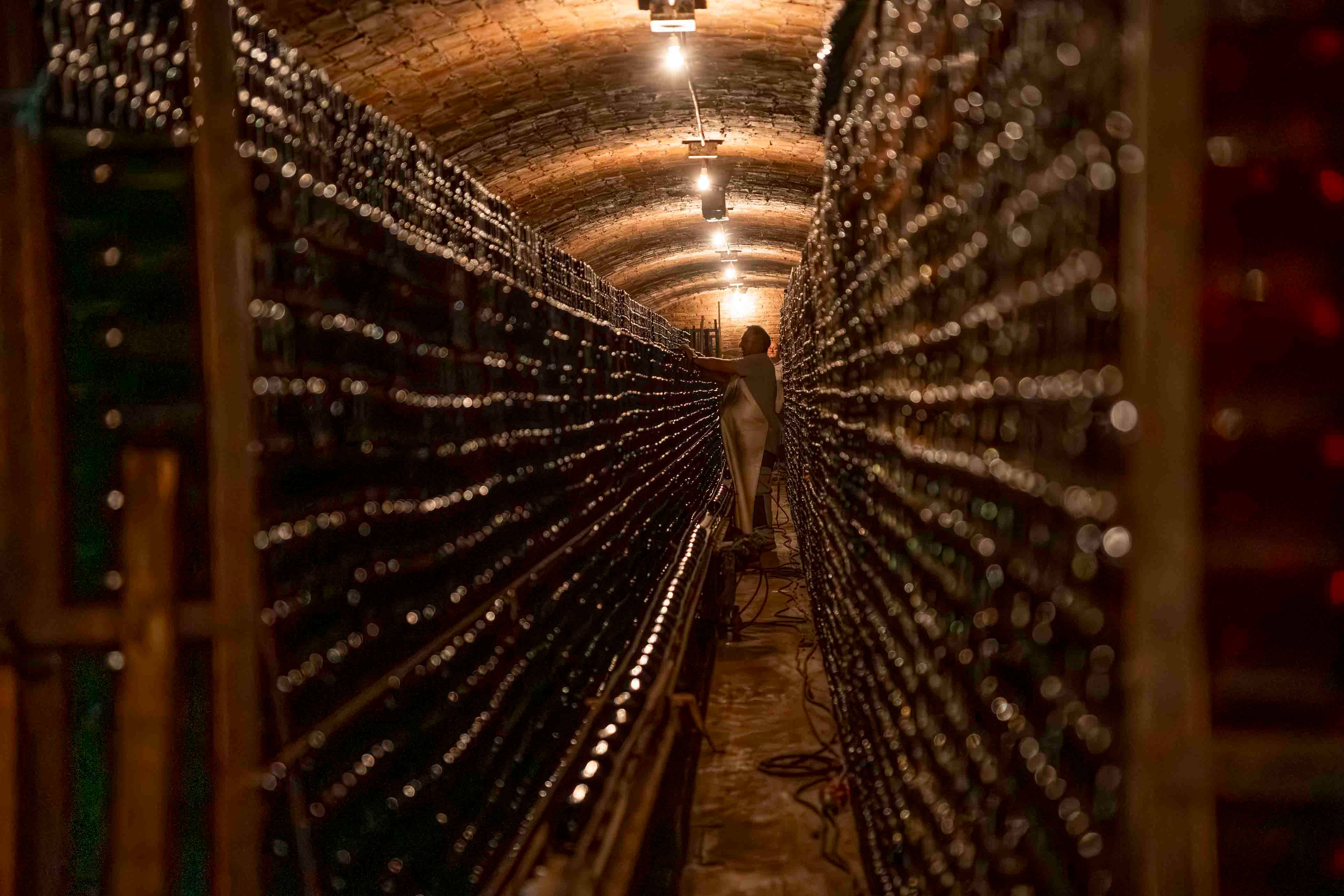 Breakfast in the modernist garden, visit and tasting