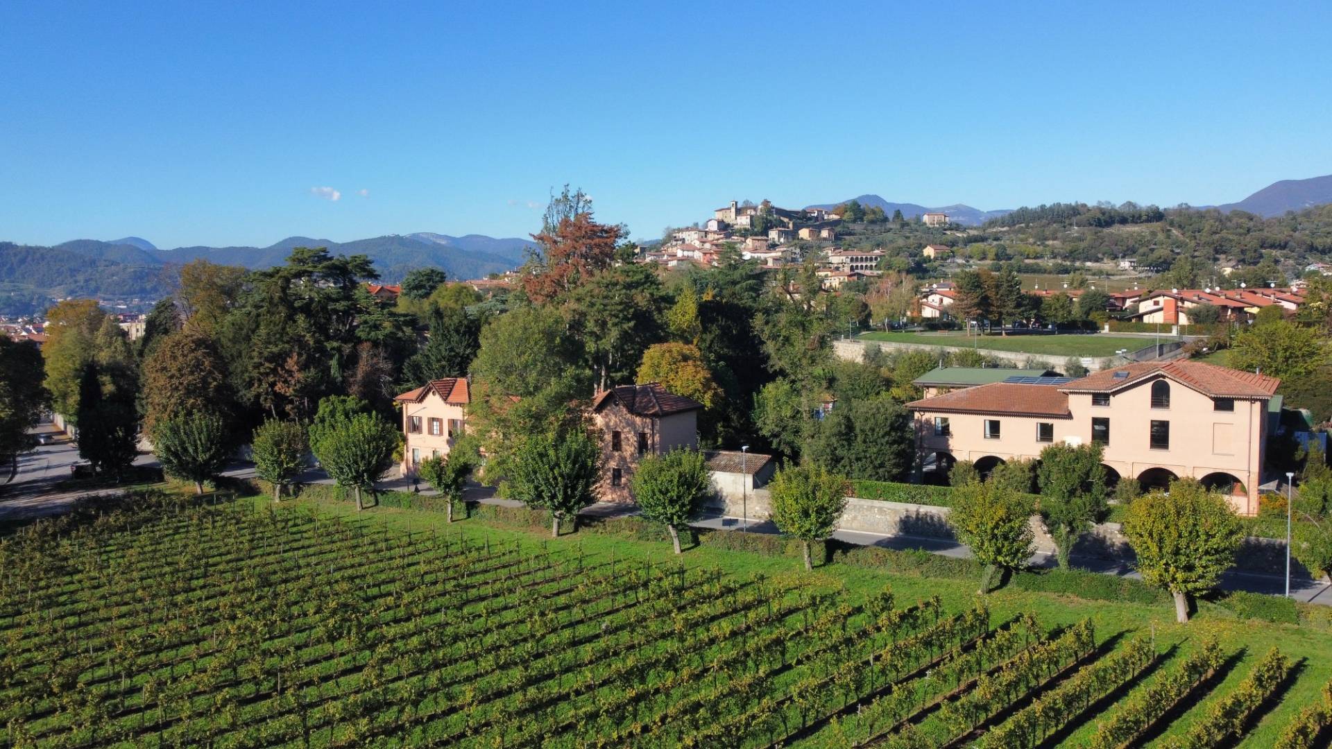 Ricci Curbastro Azienda Agricola - Winalist