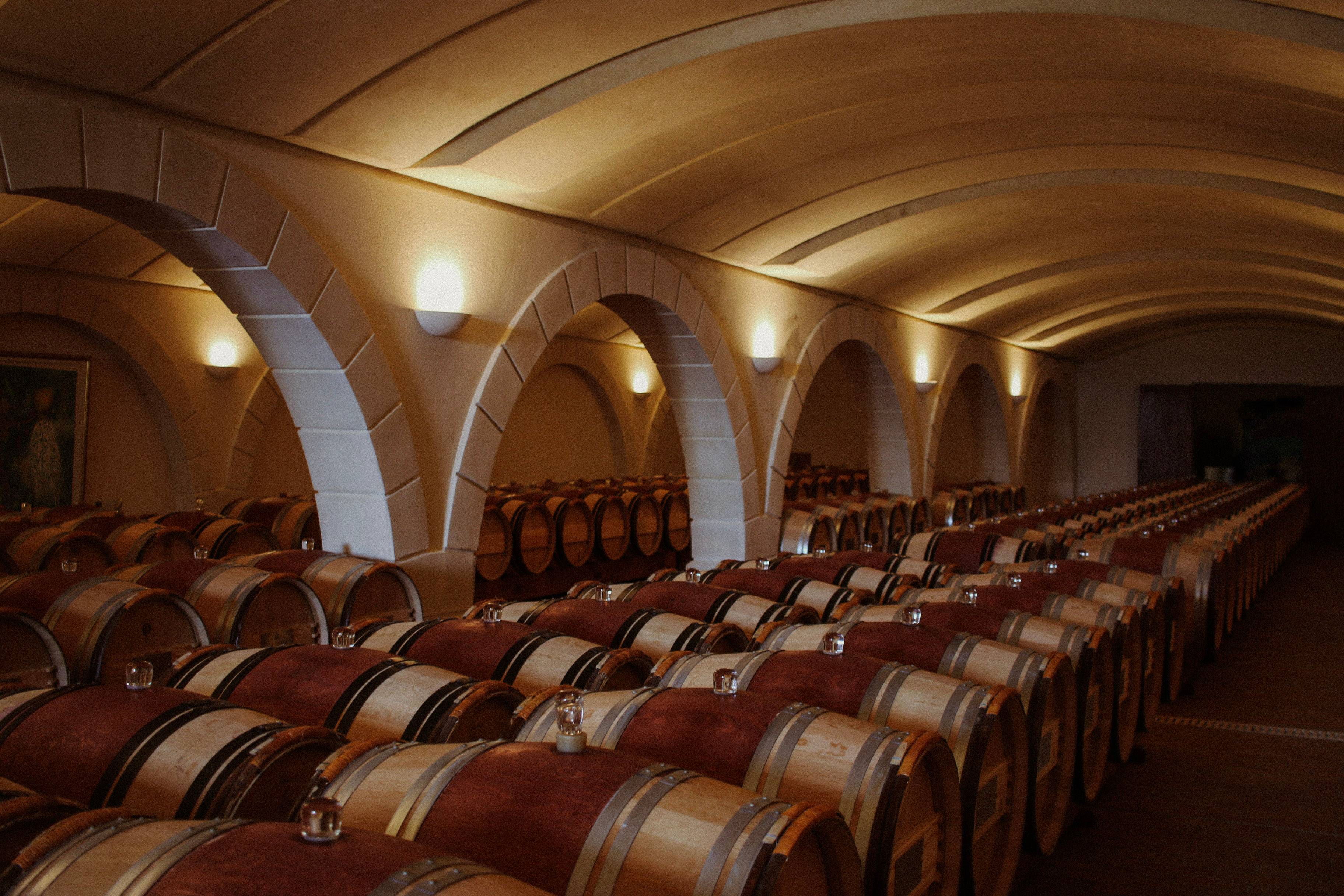 Visite Vignobles Chatonnet