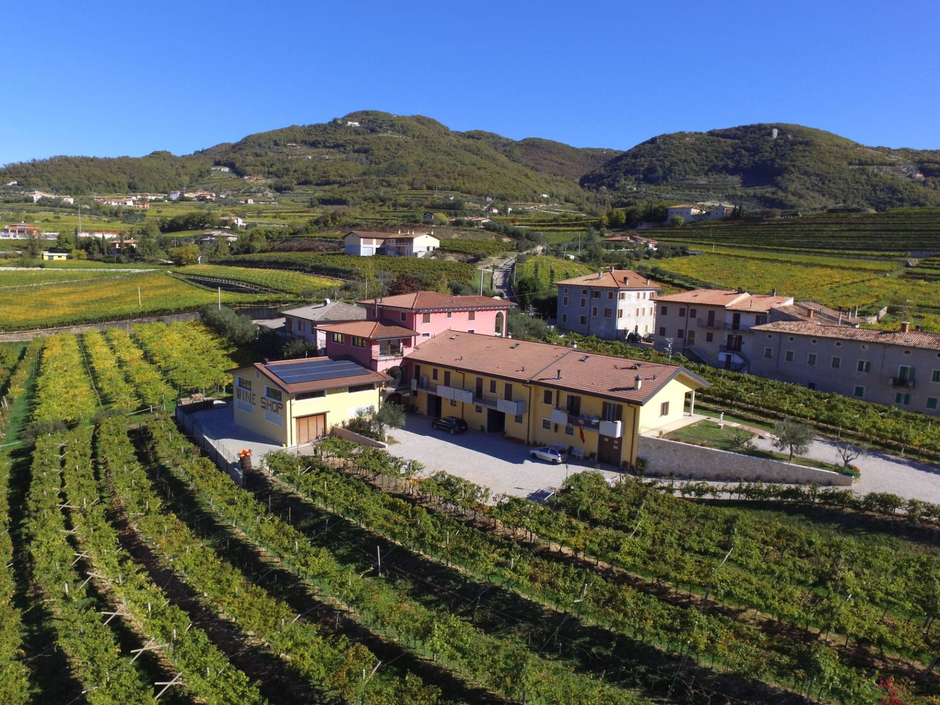 Fratelli Vogadori - Winalist