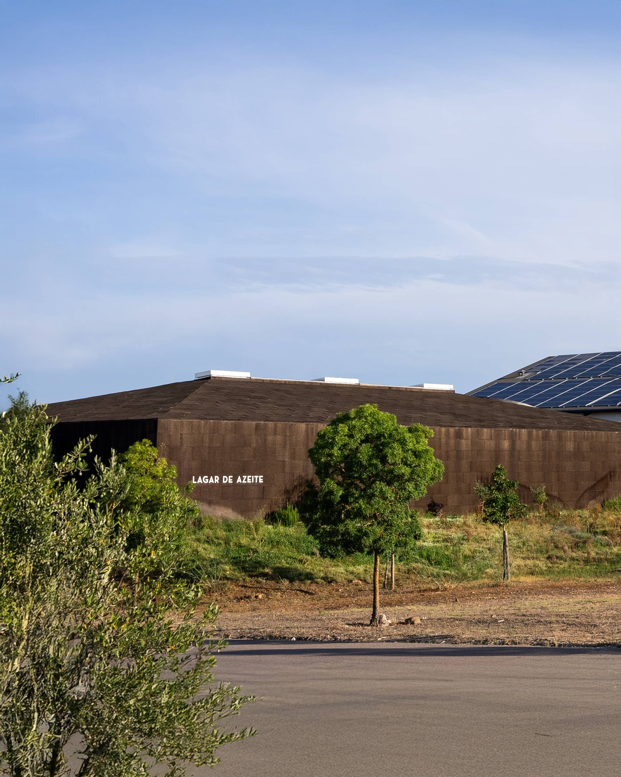 Olive Oil Tour and Tasting - Herdade do Esporão - Winalist