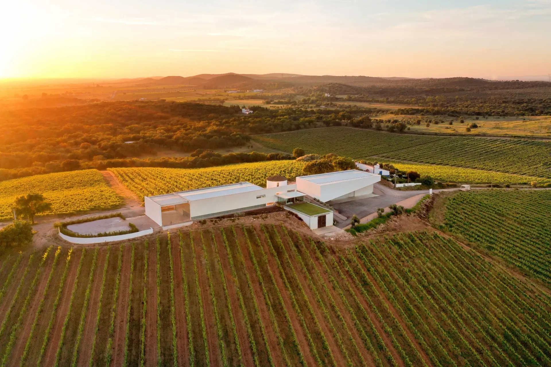 Adega Monte Branco - Winalist